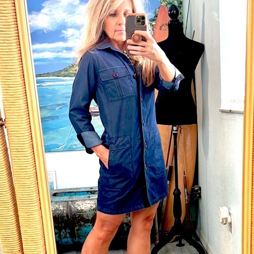 Theory Blue Button-Up Dress
